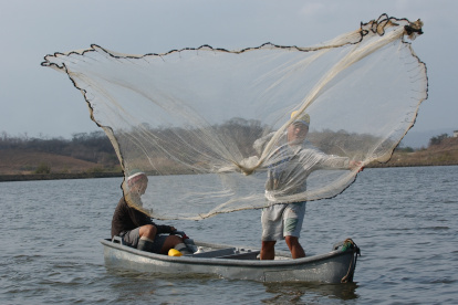 Producción. Una persona trabajando en una piscina de camarón.