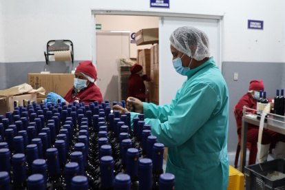 El proyecto de vino de mortiño es de sustento comunitario en Quinticusig.