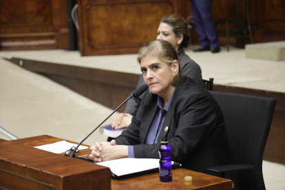 El oficialismo ha expresado preocupación e indignación ante la posibilidad de revertir la votación que salvó a Mónica Palencia.