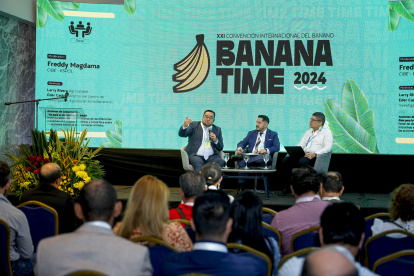 Foro. Las conferencias en el evento de Banana Time 2024.