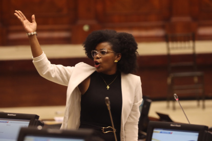 Paola Cabezas fue una de las legisladoras interpelantes en el juicio político a la ministra Palencia.