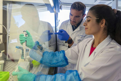 Miembro del equipo de investigación del metabolismo y regulación génica de enfermedades, en el laboratorio del centro UCAM Hitech en la pedanía murciana de Guadalupe.