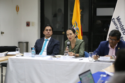 Proceso. Este 24 de octubre se celebró la primera reunión del Comité Asesor Permanente en Materia de Energía Eléctrica en que se incluyó al sector privado.
