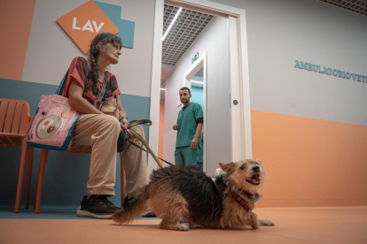 La primera clínica veterinaria social de Italia ha abierto sus puertas en Roma, con el objetivo de atender de forma totalmente gratuita a las mascotas de las personas más vulnerables.