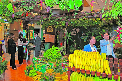 El foro Banana Time cumplió sus citas en Guayaquil.