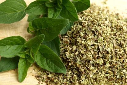 Estudios afirman que el orégano posee beneficios para nuestra salud.