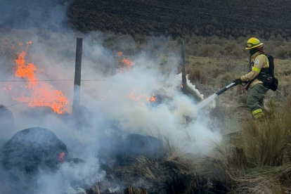 65 bomberos y guardapáramos del Fonag ayudaron a controlar el incendio forestal en el Antisana, que se inició la tarde del lunes 28 de octubre de 2024.