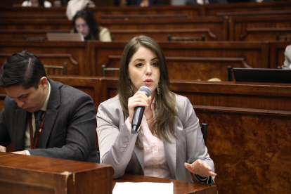 La asambleísta Mónica Palacios en una intervención en un área del legislativo.