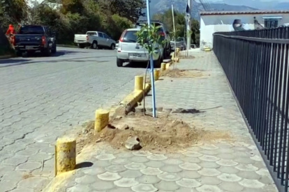 Este proyecto comenzó con los trabajos previos para la siembra de los primeros árboles en Puembo