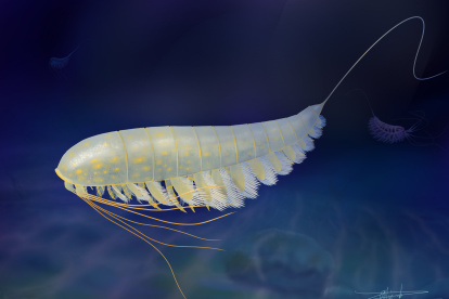 Reconstrucción de la vida de Lomankus edgecombei.