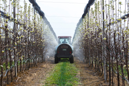 Un vehículo fumiga perales en un huerto de frutales, en una imagen de archivo.