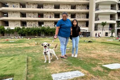 Millie disfrutaba de pasear en el césped del camposanto
