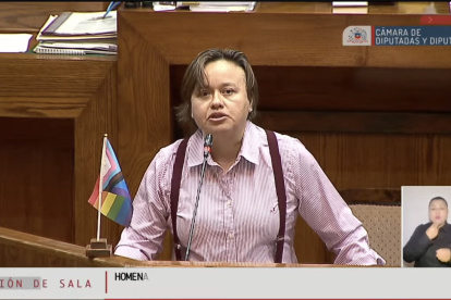 La diputada por la región de O"Higgins, Marcela Riquelme.