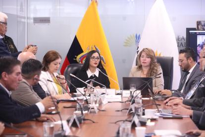 La presidenta correísta de la Asamblea, Viviana Veloz, es la proponente del proyecto.