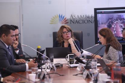 Zolanda Plúas preside la Comisión de Educación.