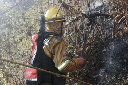 El cuerpo sin vida quedo en medio de la vegetación quemada.