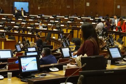 Sesión. Garzón dio a conocer cómo será el trabajo, los plazos y los convocados a la Comisión ocasional.