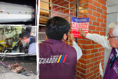 Plagas, moho e incorrecto almacenamiento de los alimentos, entre las causas de clausura.