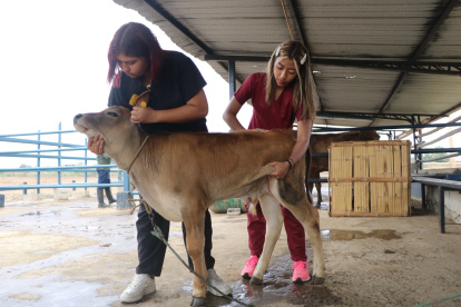 Estudios. Universitarios trabajan en proyectos de sostenibilidad y seguridad animal en haciendas protegidas.