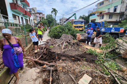 Varias personas caminan junto a un árbol caído en una calle tras el paso del huracán Rafael, este jueves en La Habana (Cuba).