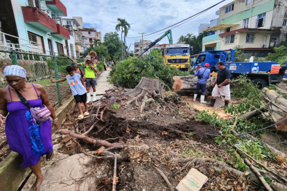 Árboles han sido desprendidos debido a las tormentas tropicales que azotan la isla.