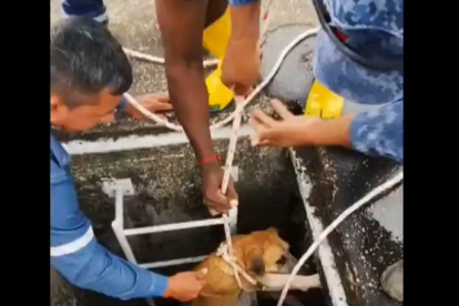 Hecho. El suceso fue compartido en redes sociales.