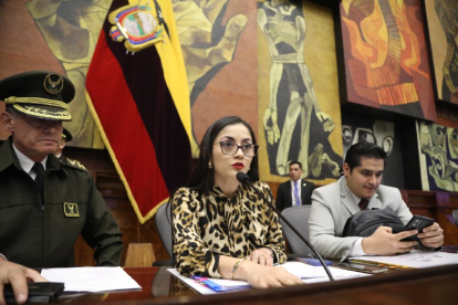 La presidenta del Pleno, Viviana Veloz, pidió retomar la sesión para abordar el pedido de Abad.