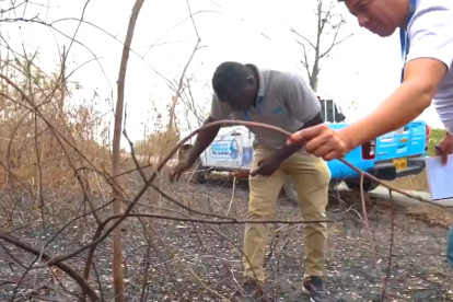 La situación fue informada por la Prefectura a través de redes sociales.