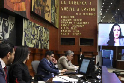 La vicepresidenta Verónica Abad fue escuchada, en comisión general, por la Asamblea.