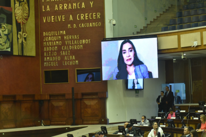 Verónica Abad, vía online, en la Asamblea Nacional.