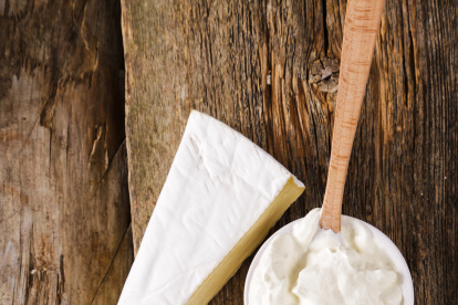 Requesón y ricota son productos altos en proteína