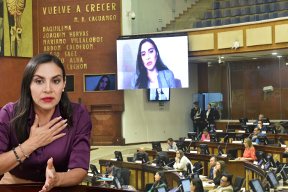 Verónica Abad habló con la Asamblea Nacional de forma telemática.