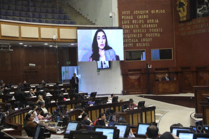 La vicepresidenta Verónica Abad fue recibida vía telemática en la Asamblea Nacional.