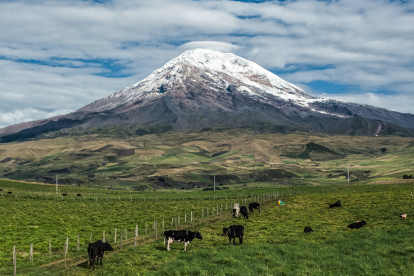Ecuador es un país biodiverso.
