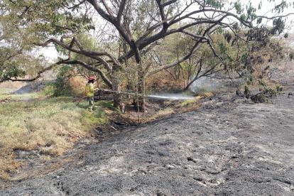 Espacios calcinados en la zona.