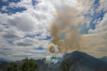 Fotografía de archivo de uno de los incendios forestales que han azotado este año a Ecuador.
