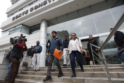 Jan Topic presentó un recurso en la Corte Constitucional este 18 de noviembre de 2024.