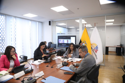 La comisión ocasional sesionó de forma mixta, presencial y telemática.