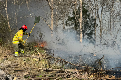 En lo que va de noviembre de 2024 se han registrado 144 incendios forestales.