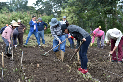 Cinco mil voluntarios participarán en mega mingas de la urbe el 23 y 24 de noviembre.