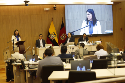 Verónica Suárez, gerente de la Epmaps, compareció este 19 de noviembre de 2024 en el Concejo Metropolitano.