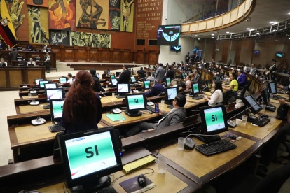 Proceso. En el pleno de la Asamblea Nacional se votó para emitiner un documento en el que se rechaza lo ocurrido en el sur del Ecuador.