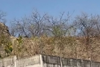 En lo alto de ese cerro, según el video grabado, se observó al puma en la zona de vía a la costa.