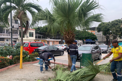 El parque recibió mantenimiento por parte de las autoridades