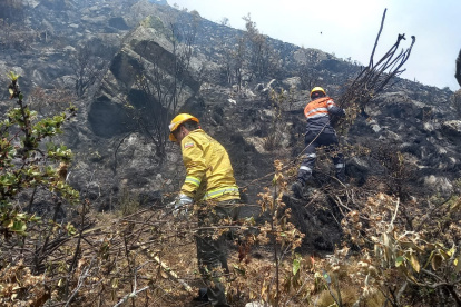 Personal bomberil apoyó en el combate de los incendios en Llaviucu, Parque Nacional Cajas.