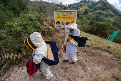 Mujeres de la asociación de apicultores caminan cerca del colmenar de uno de sus miembros, en Chilal de La Merced, en la región rural de Cajamarca.