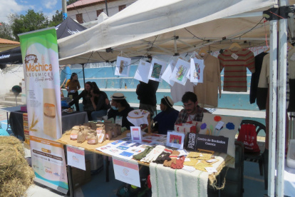 Celebrando la agroecología y la vida sostenible en el Pacha Fest 2024
