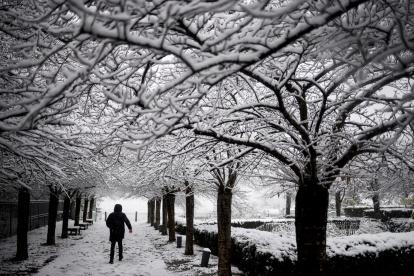 Una persona camina en un sendero de parque en París, durante el temporal de nieve y hielo que afectó a Francia.