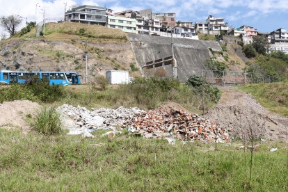 En El Trébol, donde se sembró el bosque de arupos, personas inescrupulosas han arrojado escombros y desperdicios.