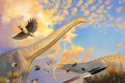 Impresión artística de Navaornis, de la que se ha encontrado un fósil "único en su tipo" que podría transformar la comprensión de cómo evolucionaron los cerebros de las aves modernas